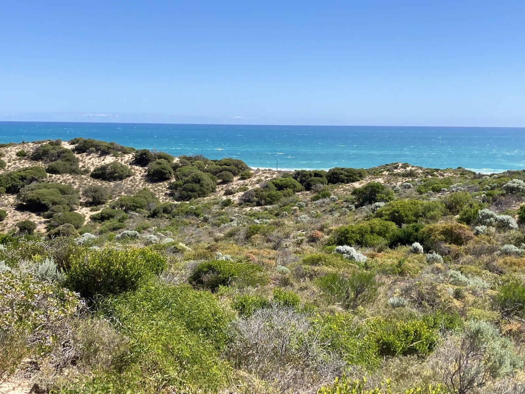 Coastal dunes and ocean outlook, representative of the planned eco-resorts and hot springs accommodation
