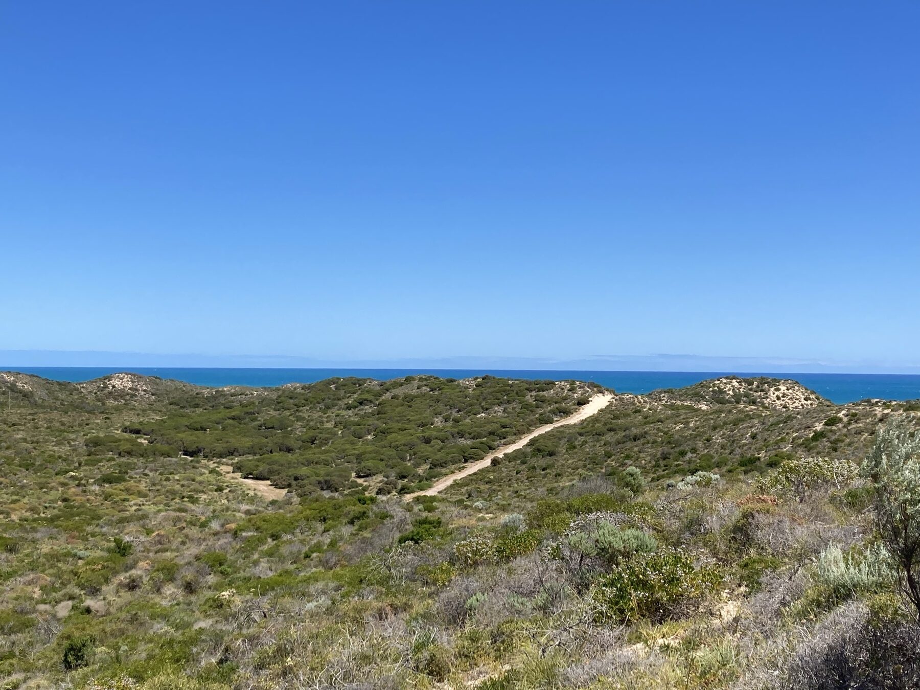 Coastal dunes and a sandy track leading to the ocean, on the Abrolhos property
